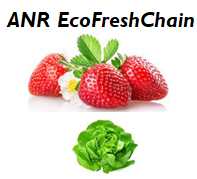 ecofreshchain_petit.png